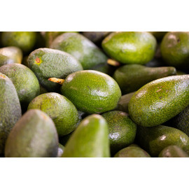 Aguacates