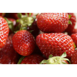 Fresas