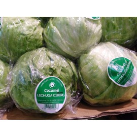 Lechuga Iceberg