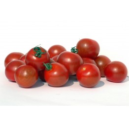 Tomates y Pepinos